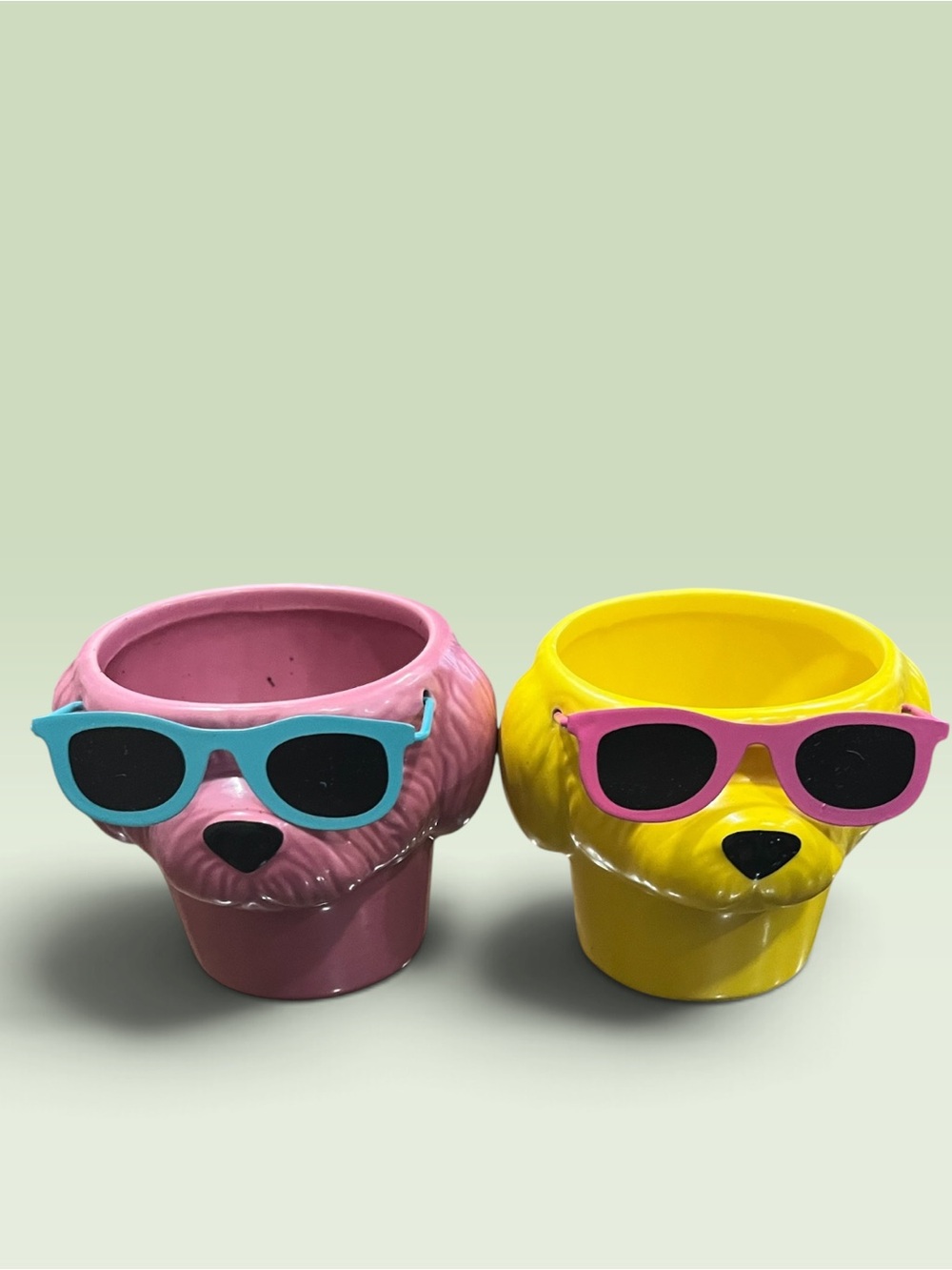 Trader Joe's Dog Days of Summer Ceramic Mini Planters - Set of 2 (Pink & Yellow